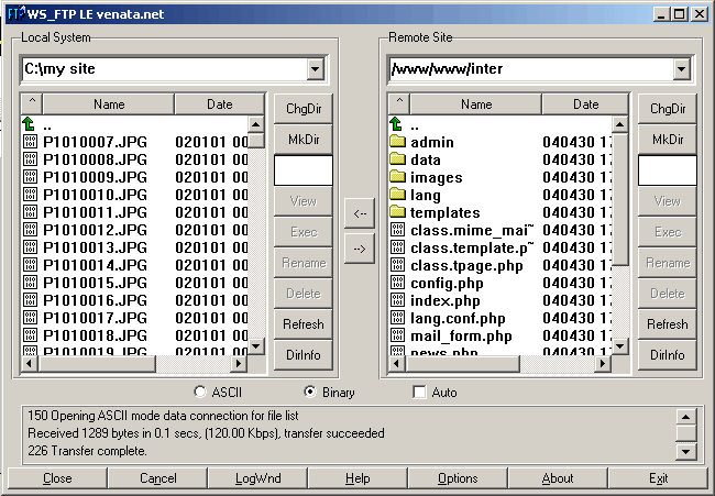 Local System - Remote Site