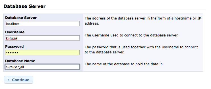 Database Server