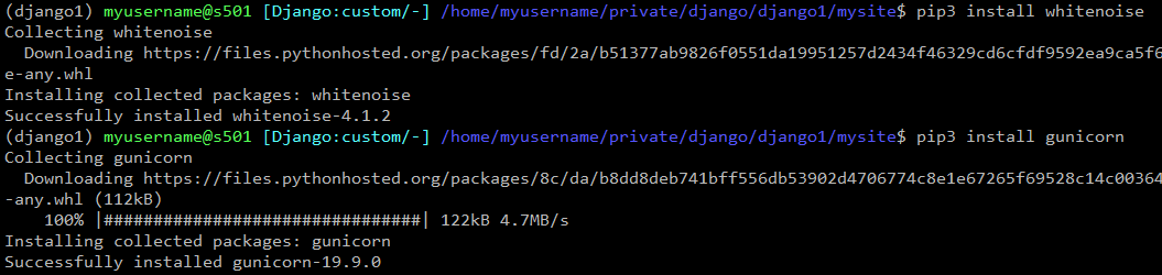 install-gunicorn-and-whitenoise.png