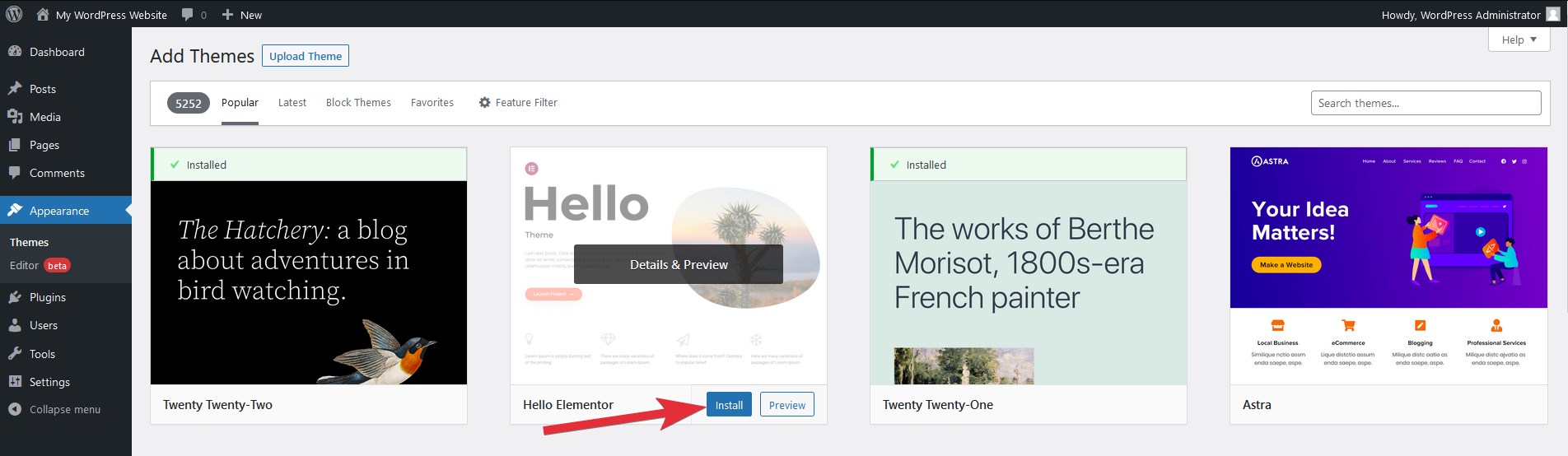 Install WordPress theme