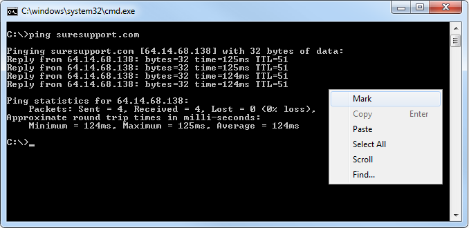 DOS window with Mark option